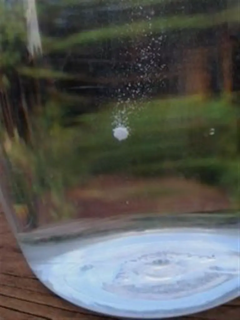 2292 squatabs-4 (Large).webp