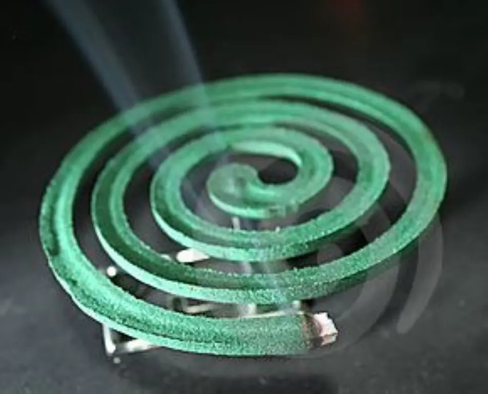 28615-3 (Medium).webp