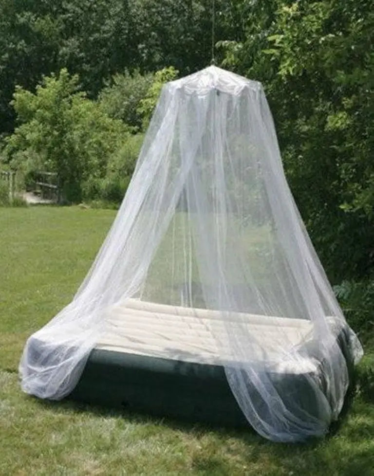 28533.1 (Medium).webp