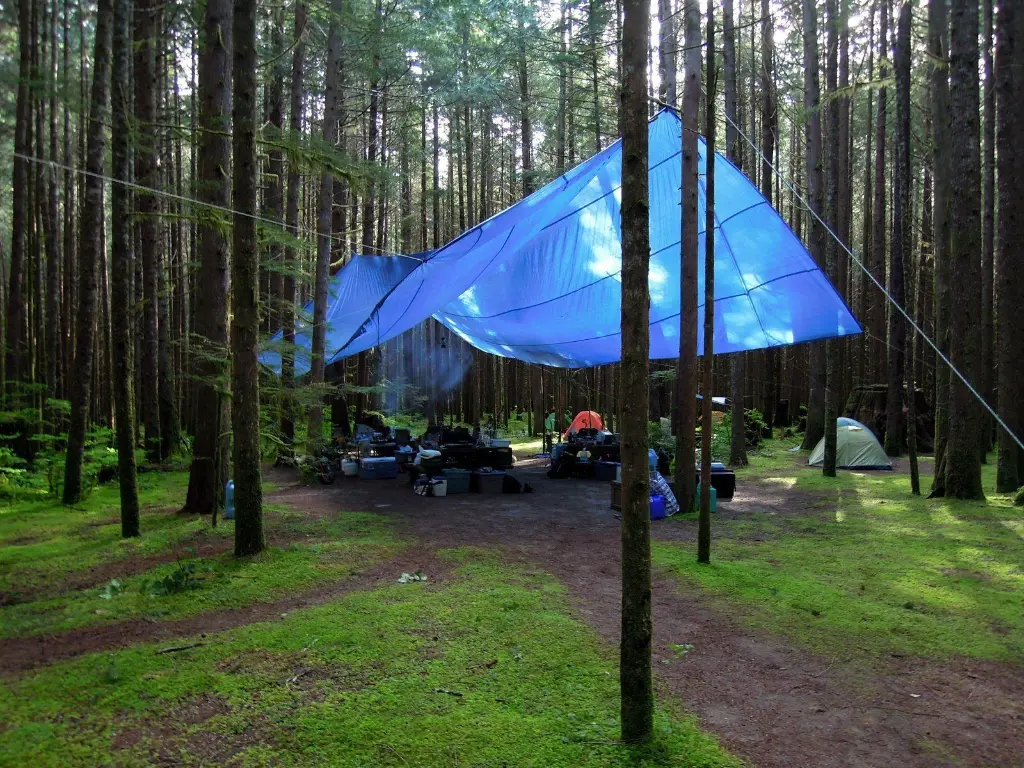 800046 blue-poly-tarp-tarpaulin-4x6 -4.webp