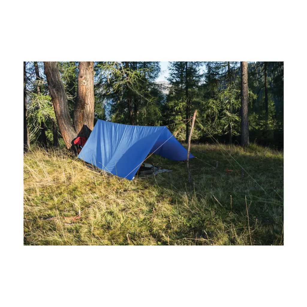 800046 blue-poly-tarp-tarpaulin-4x6 -19.webp
