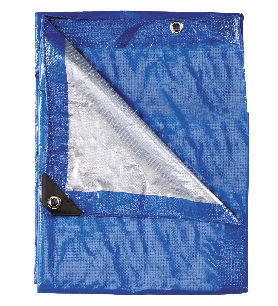 800057 Bluesilver Tarp.webp