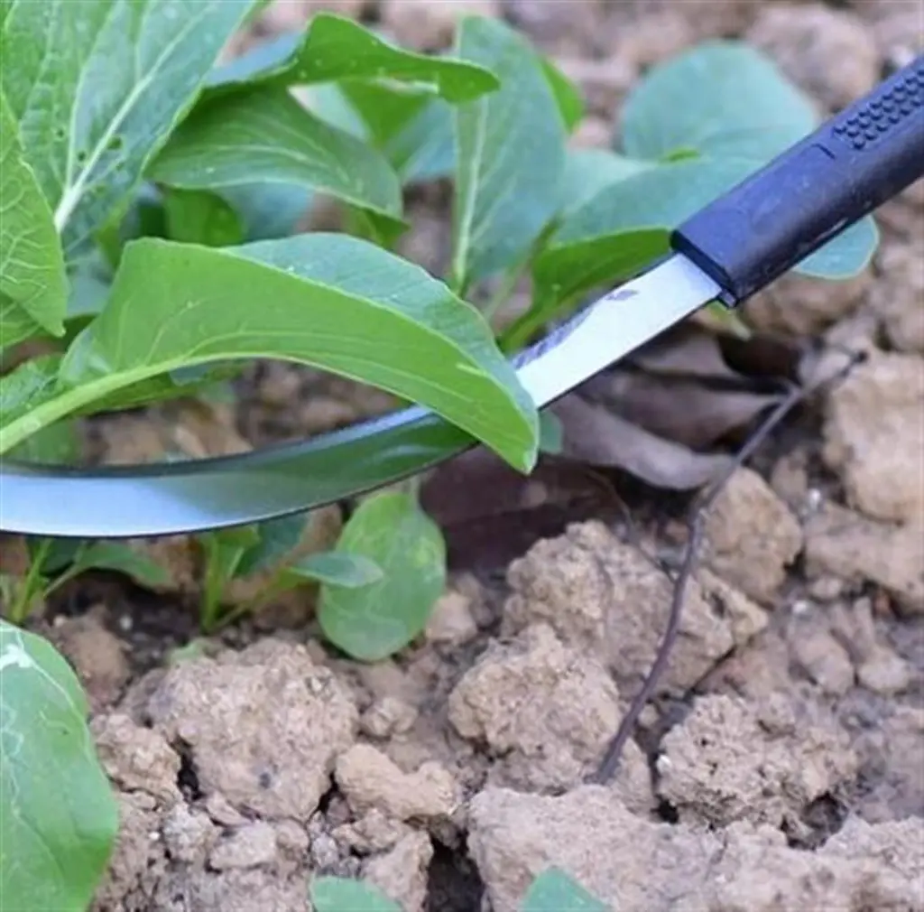 25831 mini-hand-sickle-black-plastic-handle-17.5-cm-saw-blade-17 (Large).webp