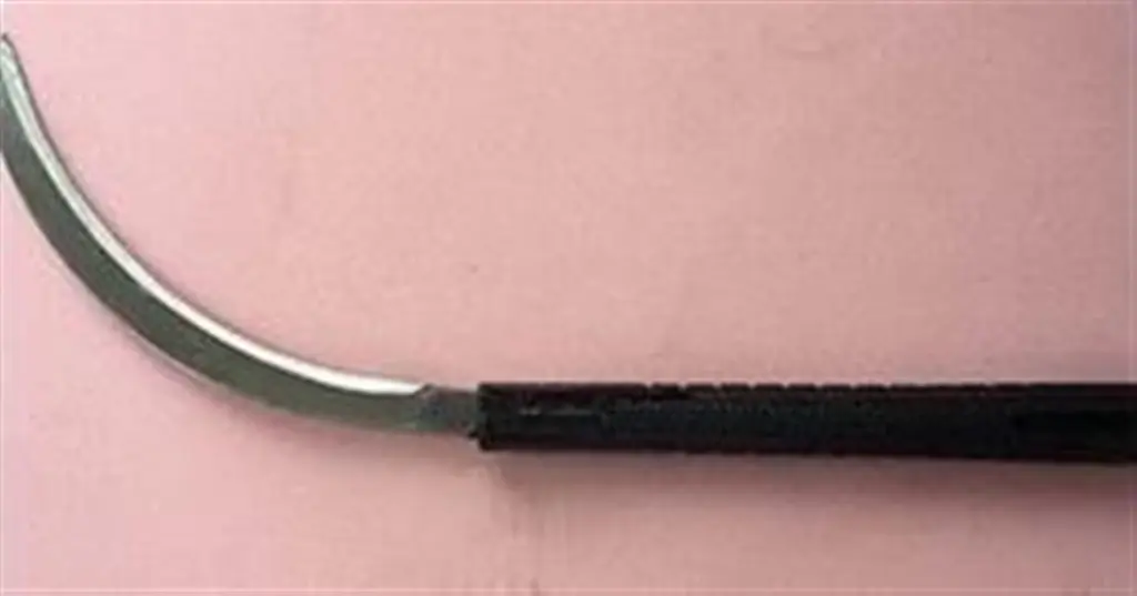 25831 mini-hand-sickle-black-plastic-handle-17.5-cm-saw-blade-9 (Large).webp