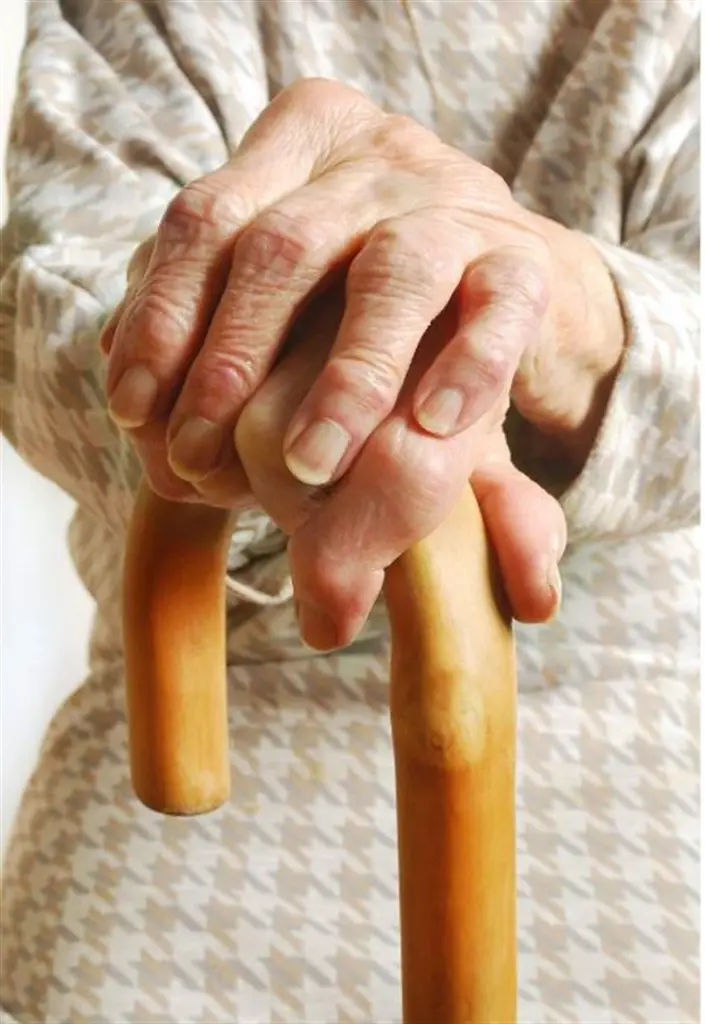 44979-walking-stick-solid-wood-1 (Large).webp