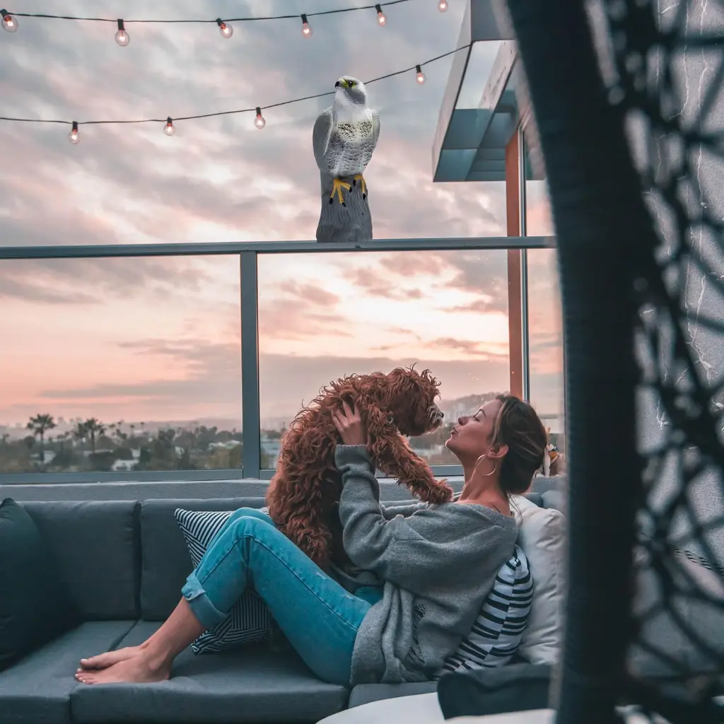 91449 Falcon-Scare-Bird-decoy-5.webp