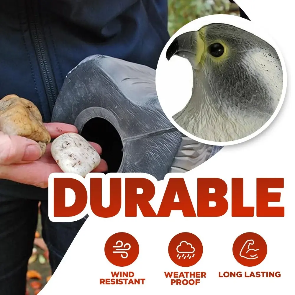 91449 Falcon-Scare-Bird-decoy-9.webp