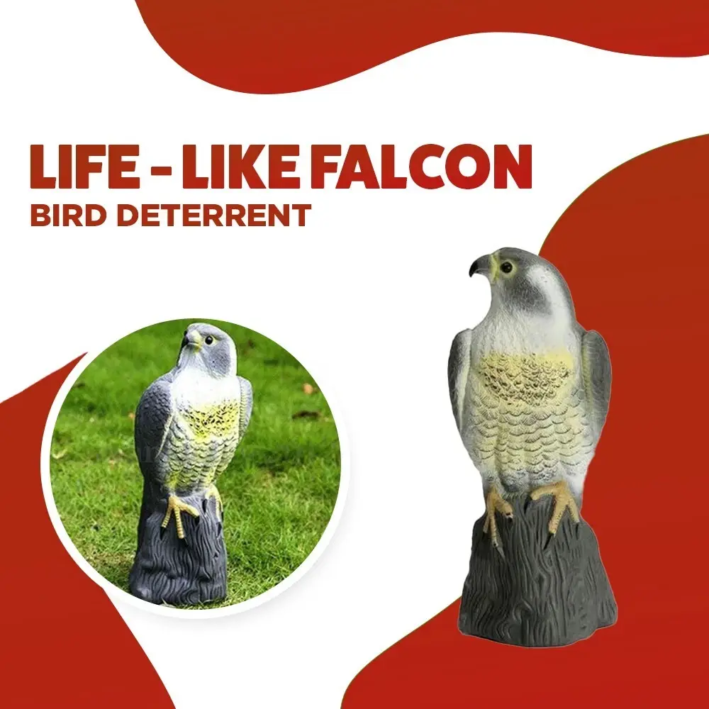 91449 Falcon-Scare-Bird-decoy-7.webp