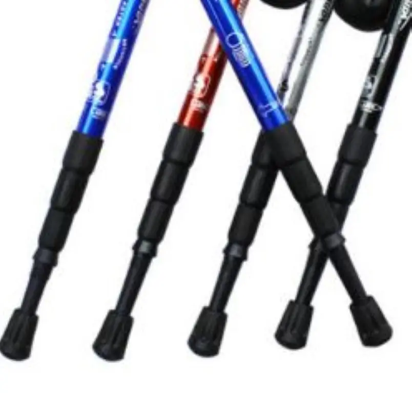 44985-8 (Medium).webp