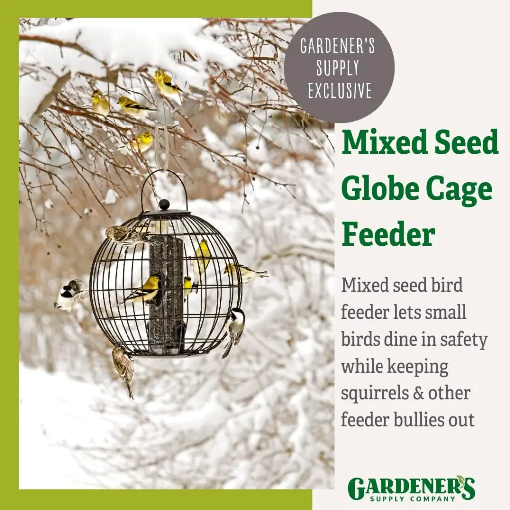 91434 Anti Possum Bird Feeder Round Metal 26cm 8.webp