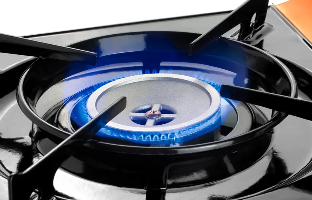 29642 Burner with flame off front view (4).webp