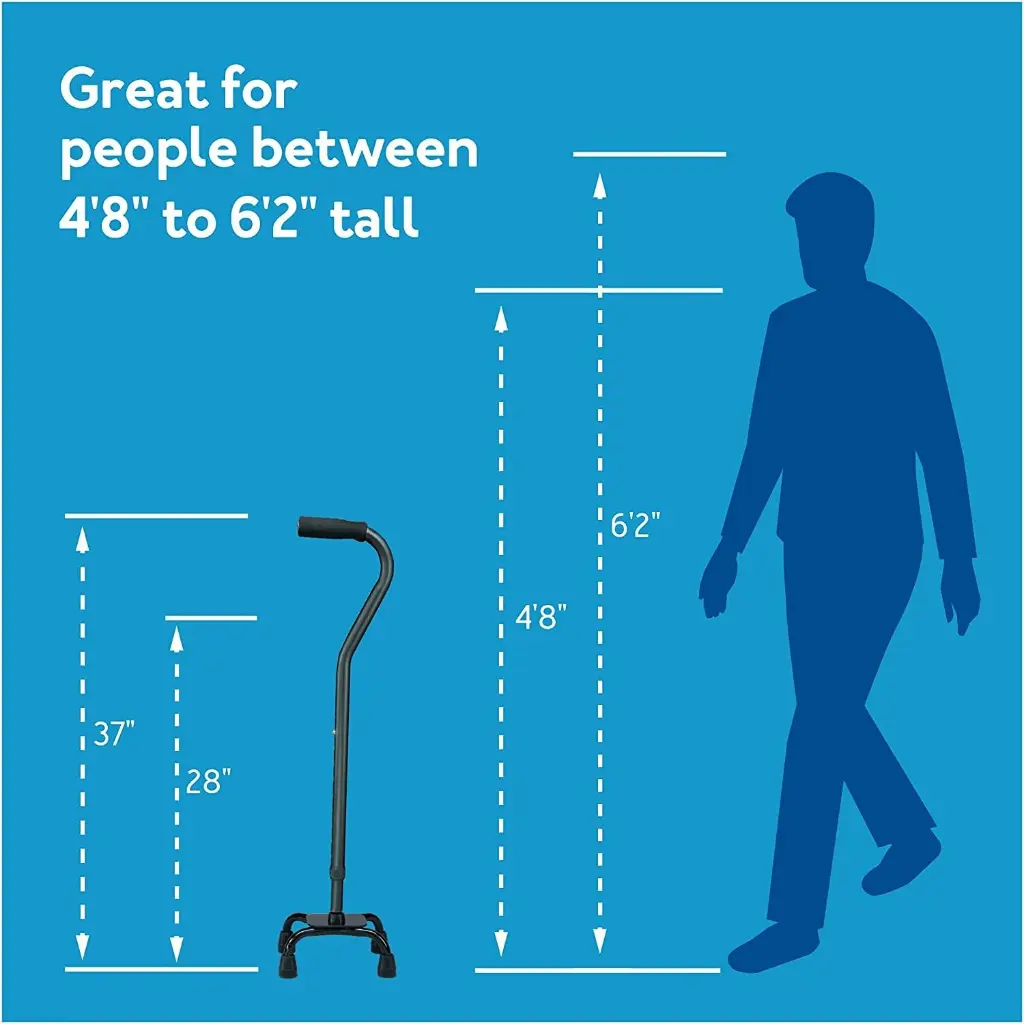 44981walking-stick-pole-10 (8).webp