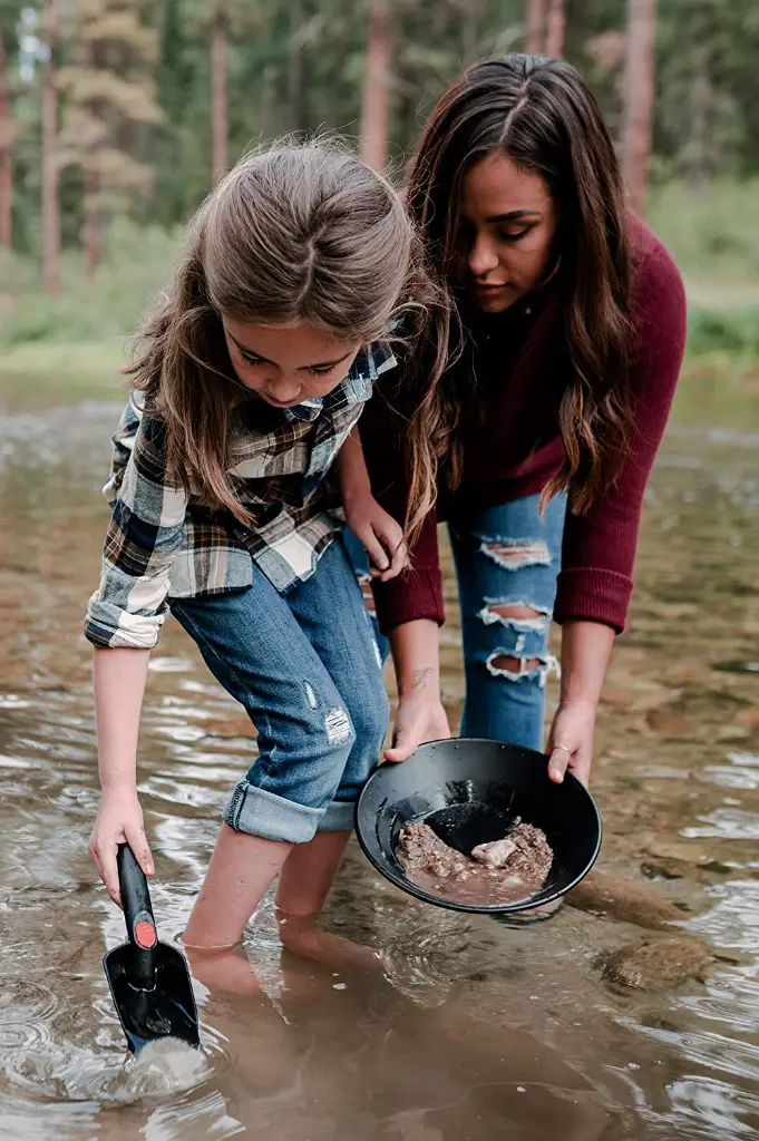 28273 28274 plastic-gold-pan-black.webp
