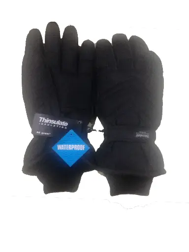 [14748]  Waterguard Thinsulate Lined Ski Glove Blue/Grey